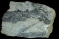 SILVANITE (Sylvanite) - Solfuri