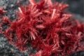  CALCOTRICHITE (Chalcotrichite) - Ossidi